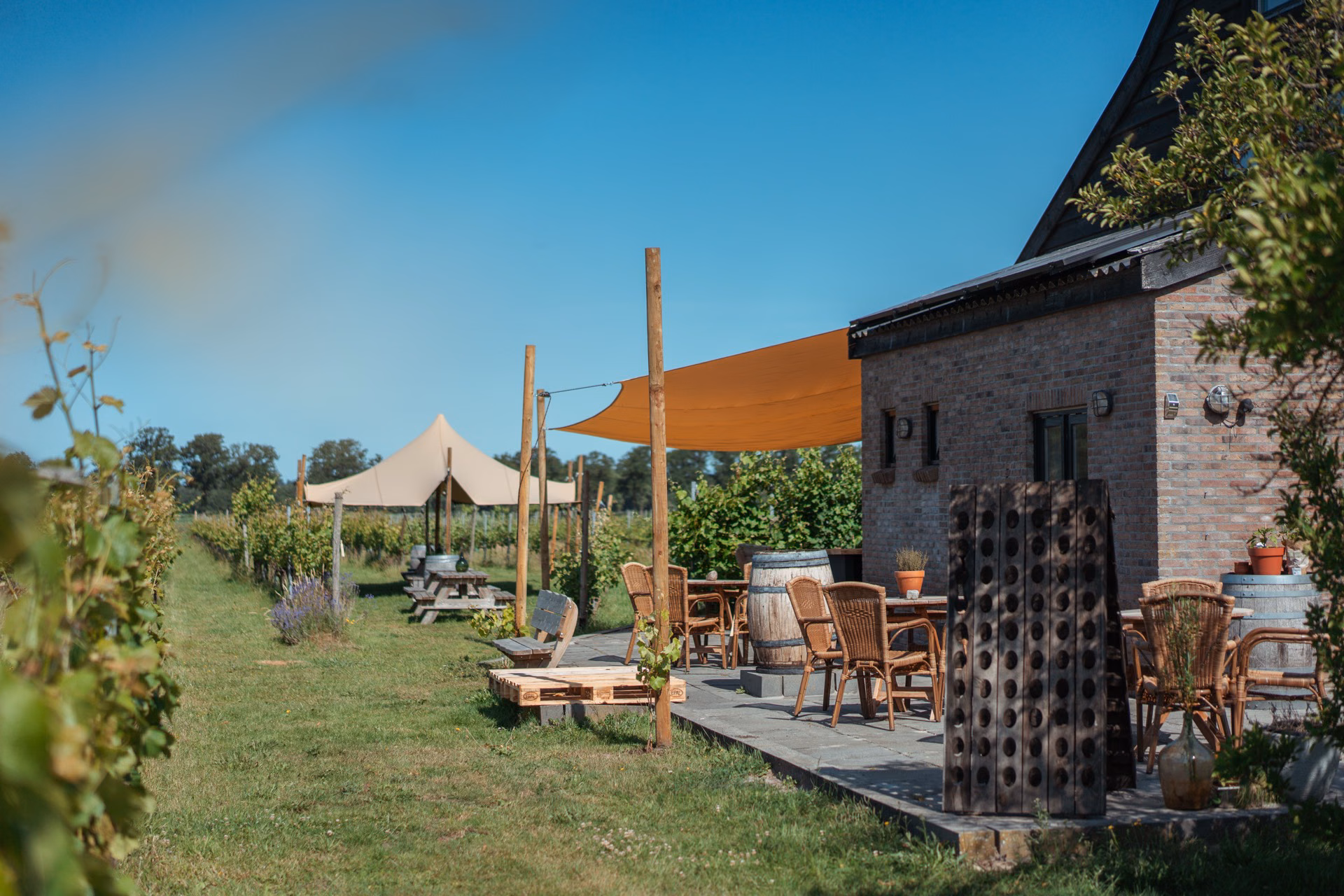 Proefhuis met terras en uitzicht over de wijngaard