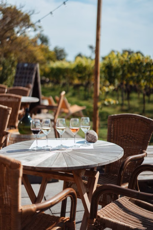 Wijnproeverij op het terras met de wijngaard op de achtergrond