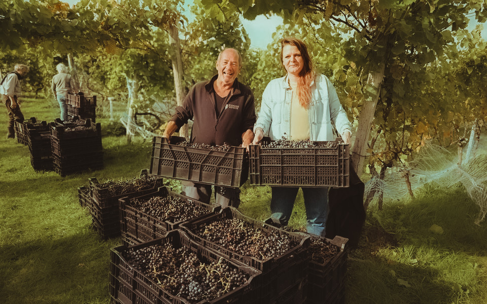 Peter en Winie met kistjes geoogste druiven