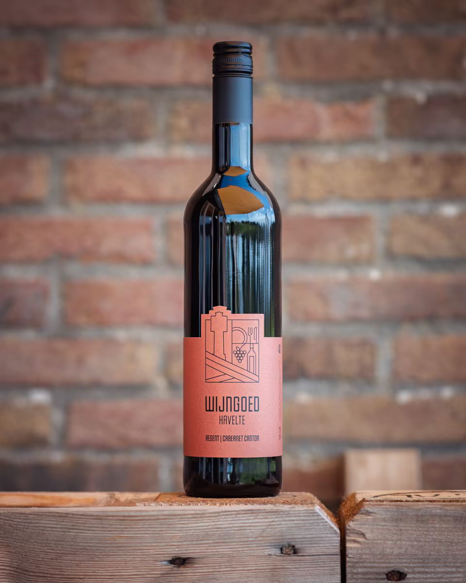 Havelter Rood — Regent | Cabernet Cantor